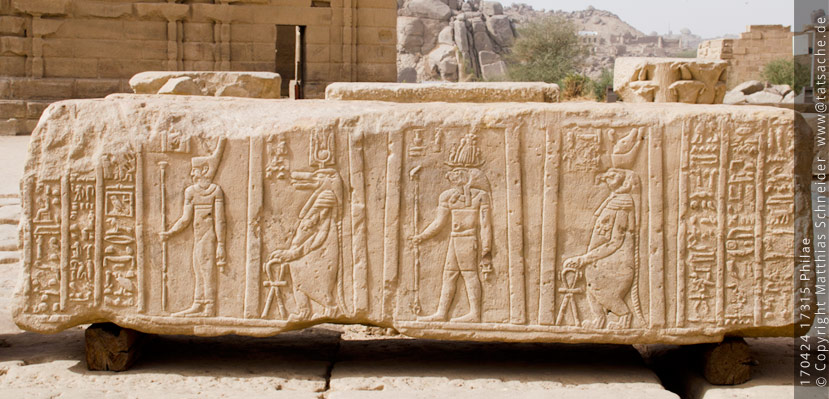 Fotografie (c) Matthias_Schneider Ägypten 170428_17907_Abydos-Tempel_Saeule_Front_Detail