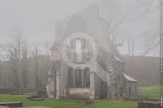 Fotografie Matthias Schneider – 21522 – Ruine Heisterbach mit Nebel